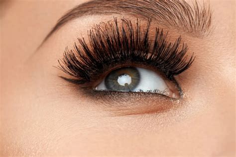 why were fake eyelashes invented cumbrella|anna taylor eyelashes.